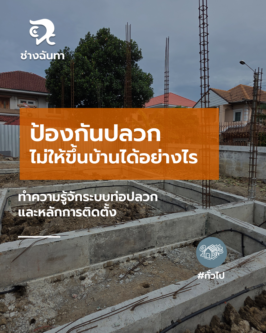 ป้องกันปลวก ไม่ให้ขึ้นบ้านได้อย่างไร